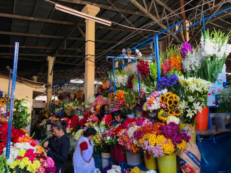 San-Pedro-Mkt